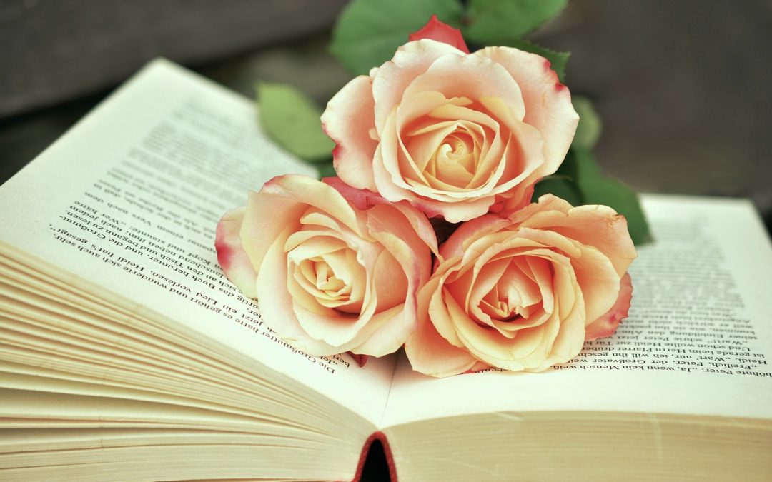 Self-Publishing Journey: Lessons Learned